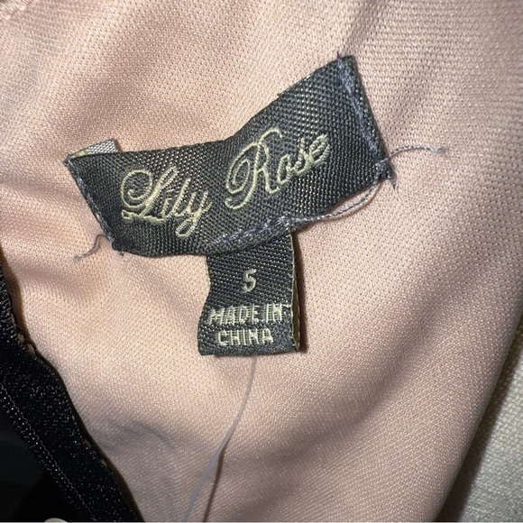 NWT Lily Rose Elegant Black w/ Lace detail Dress Flowy Whimsigoth Soft size 5 - Picture 6 of 10